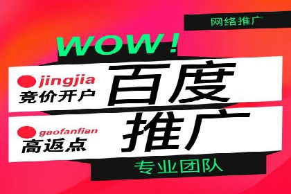 案例解读：SEM代理助力电商销量翻倍